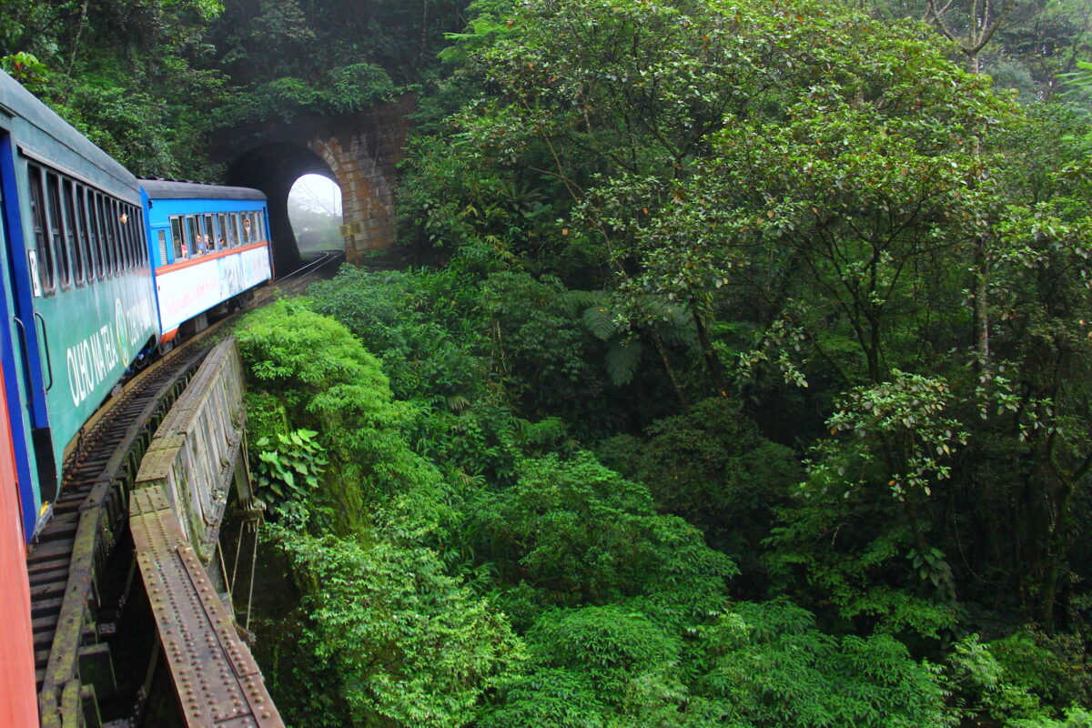 VIAGENS DE TREM - Jogue Viagens de trem Grátis no Gombis.pt!